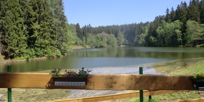 Stausee Schönheide/Carolagrün