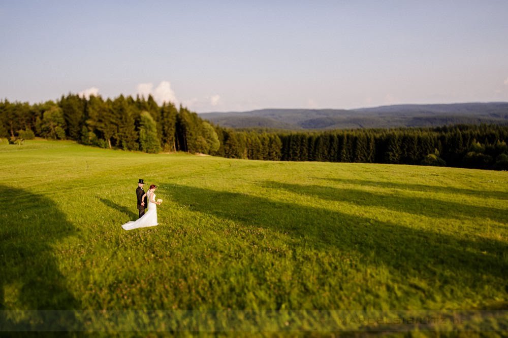 Wiese, Wald, Heulballen